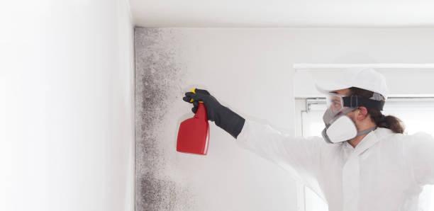 Best Commercial Mold Removal  in Newport, DE